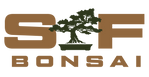 Semper Ficus Bonsai - Home